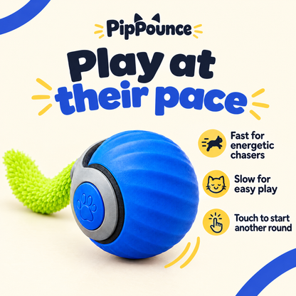 PipPounce Rolling Tail fast, slow and touch play information