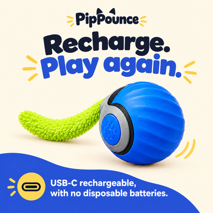Blue PipPounce Rolling Tail is USB-C rechargeable