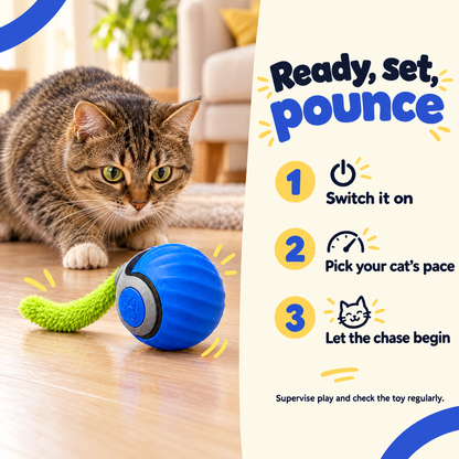 How to play with the blue PipPounce Rolling Tail