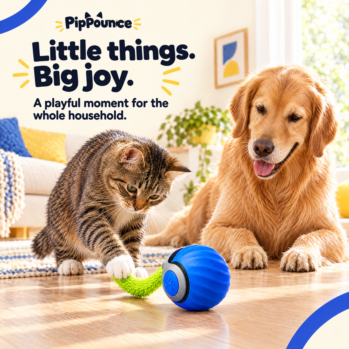 Dog watches a cat play with the blue PipPounce Rolling Tail